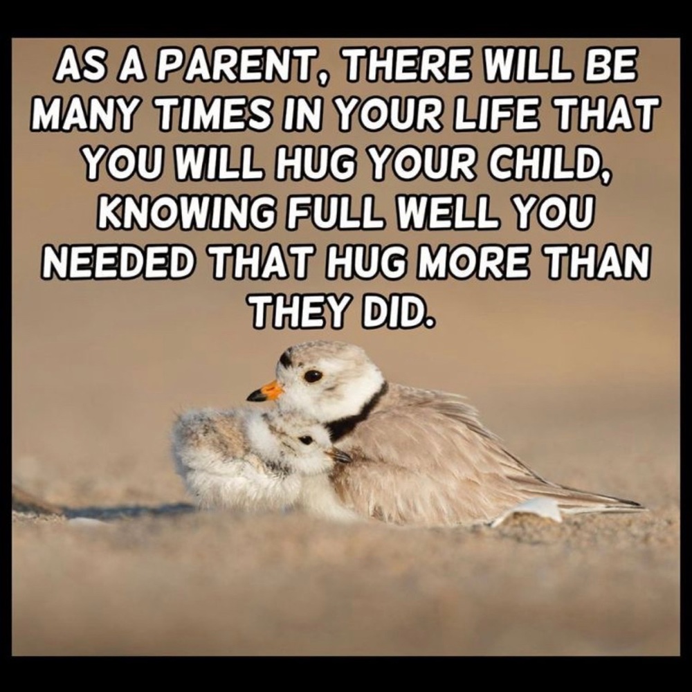 Quote - Picture 2 of 8